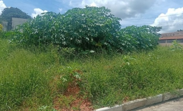 DENNCIAS DE LOTES SUJOS EM CARMO DO CAJURU J SOMAM 20 CASOS 